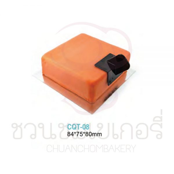พิมพ์ทำให้พื้นผิวเรียบ Smoother Polisher CQT-08 รหัส 6971160654447